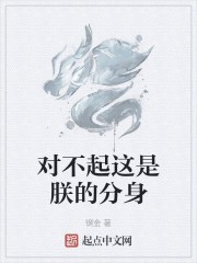 对不起这是朕的分身封面