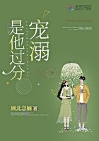 是他过分宠溺封面