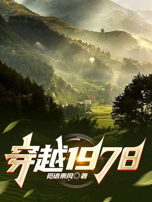 穿越1978封面