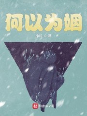 何以为姻封面