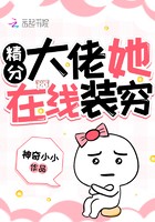 精分大佬她在线装穷封面