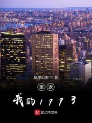 重返我的1993封面