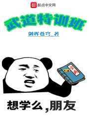 武道特训班封面