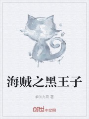 海贼之黑王子封面