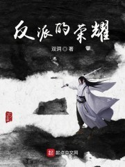反派的荣耀封面