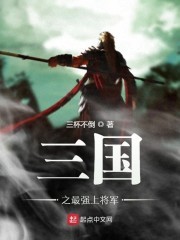 三国之最强上将军封面
