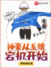 神豪从系统宕机开始封面
