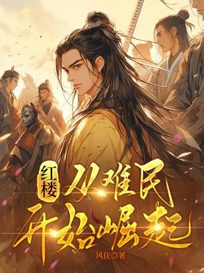 红楼:从难民开始崛起封面