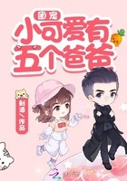 团宠小可爱有五个爸爸封面