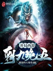 开局西游朝九晚五封面