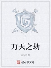 万天之劫封面