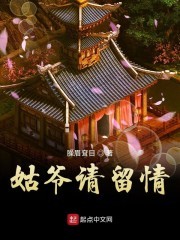 姑爷请留情封面