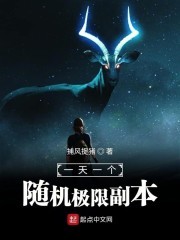 一天一个随机极限副本封面