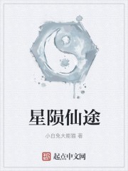 星陨仙途封面