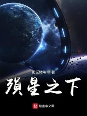 殒星之下封面