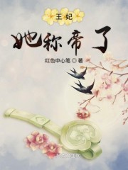 王妃她称帝了封面
