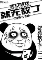 我打游戏就无敌了封面