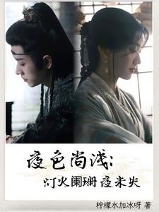 夜色尚浅:灯火阑珊夜未央封面