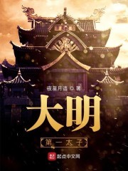 大明第一太子封面