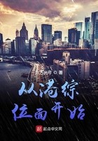 从港综位面开始封面