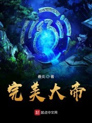 完美大帝封面