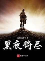黑夜将尽封面