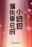 偏执景总的小奶包封面