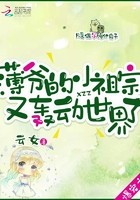 薄爷的小祖宗又轰动世界了封面