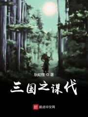 三国之谋伐封面