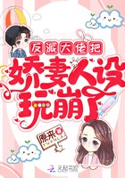 反派大佬把娇妻人设玩崩了封面