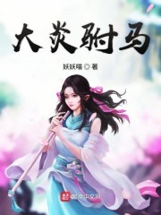大炎驸马封面