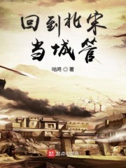 回到北宋当城管封面