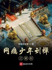网瘾少年刘禅之崛起封面