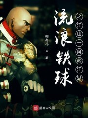 流浪铁球之江山一风起江湖封面