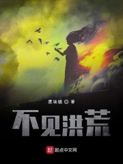 不见洪荒封面