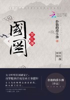 国图罪红颜封面
