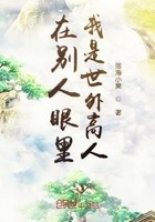 在别人眼里我是世外高人封面