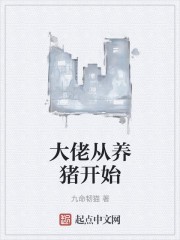 大佬从养猪开始封面