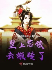 皇上您该去搬砖了封面