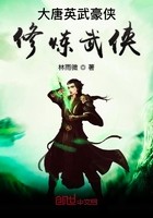 大唐英武豪侠封面