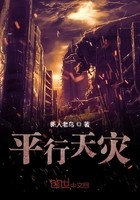 平行天灾封面