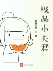 极品小夫君封面