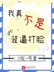 我真不是装逼打脸封面