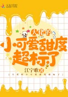 大佬的小可爱甜度超标了封面