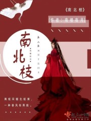 南北枝封面