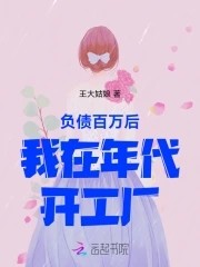 负债百万后,我在年代开工厂封面