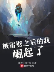 被雷劈之后的我崛起了封面