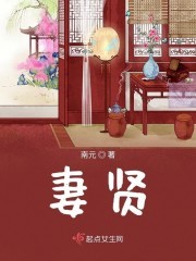 妻贤封面