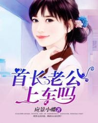 首长老公,上车吗?封面
