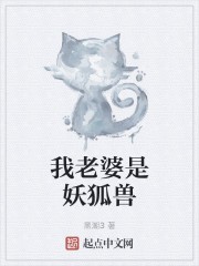 我老婆是妖狐兽封面